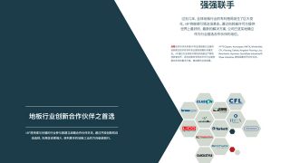 Corporate Brochure PDF example in Chinese